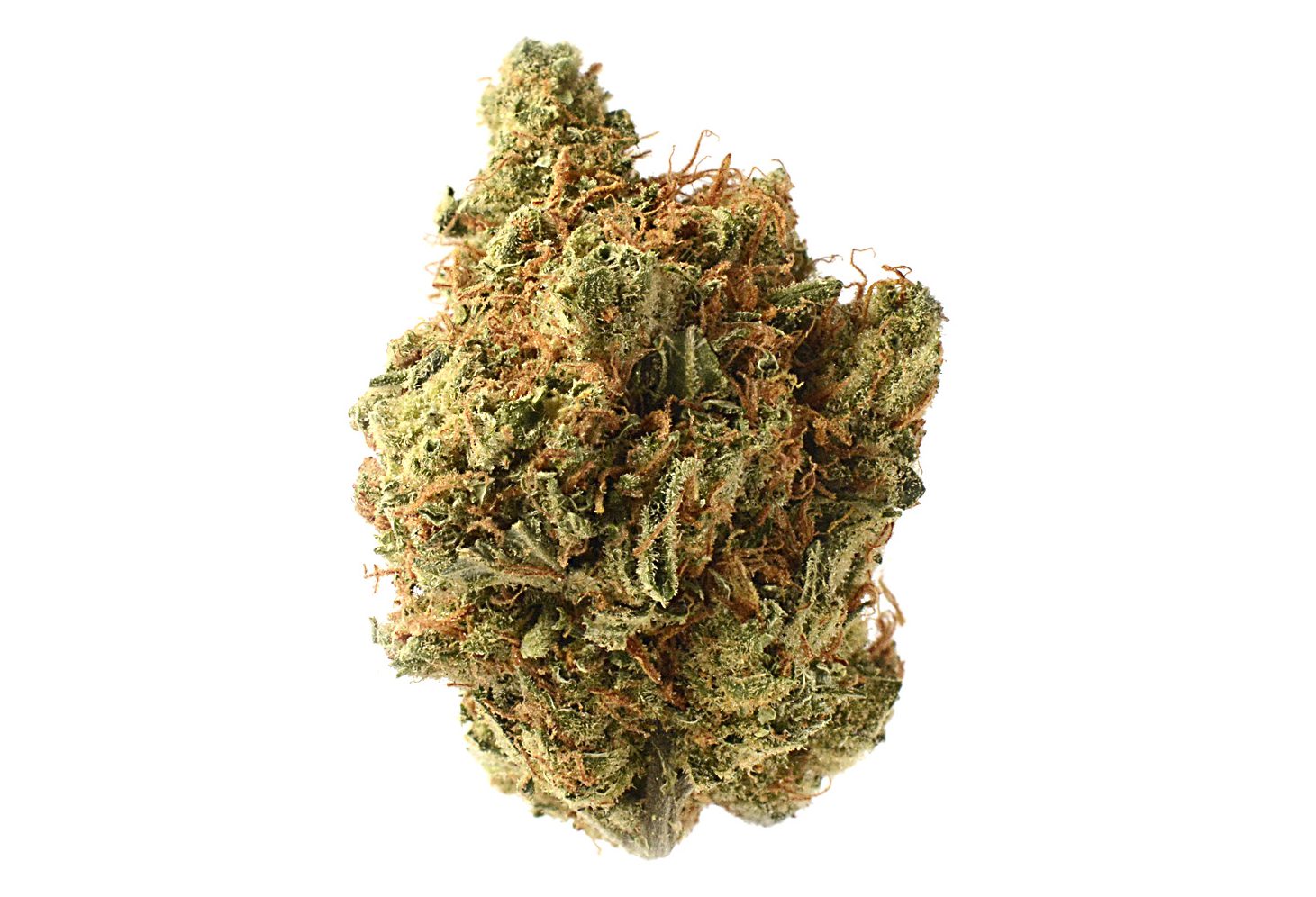 Buy Amnesia Haze - Canada Online Dispensary - Bulk Buddy - BC Weed