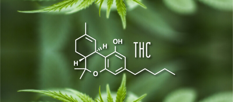 Cannabis effects: Why Weed Gets You High - RQS Blog