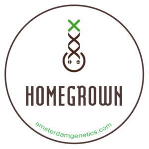 homegrown selection cepas de cannabis amsterdam genetics