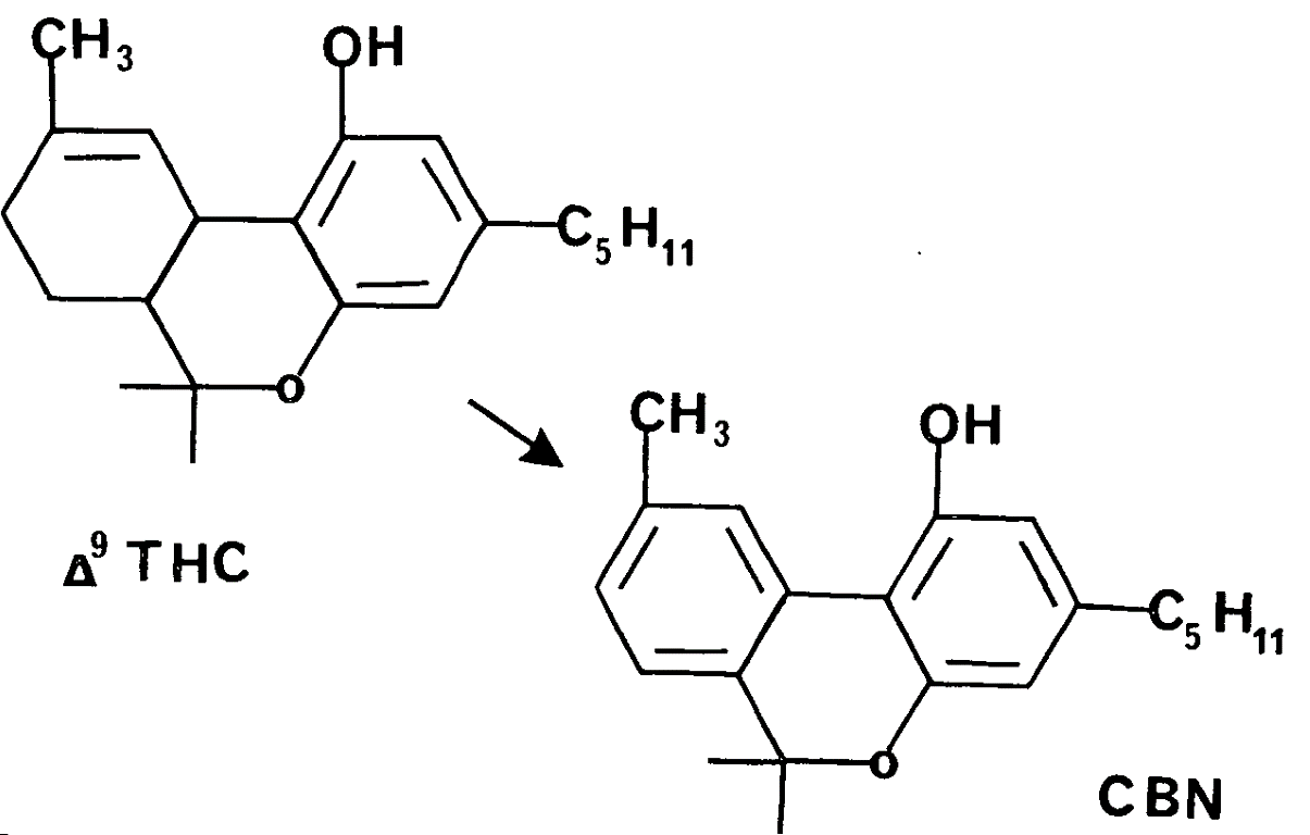 thc becomes cbn over time